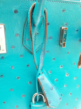 Hermes Birkin 30 Mykonos Blue Ostrich Palladium Hardware Handbag Do1225lcrxzde