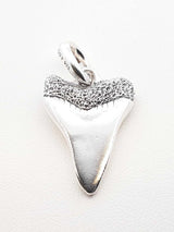 David Yurman Shark Tooth Amulet In Sterling Silver 9.8 Grams Fw0626crdu