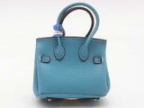Blue Doggie Bag Holder Mini Bag Charm Aa0925csa