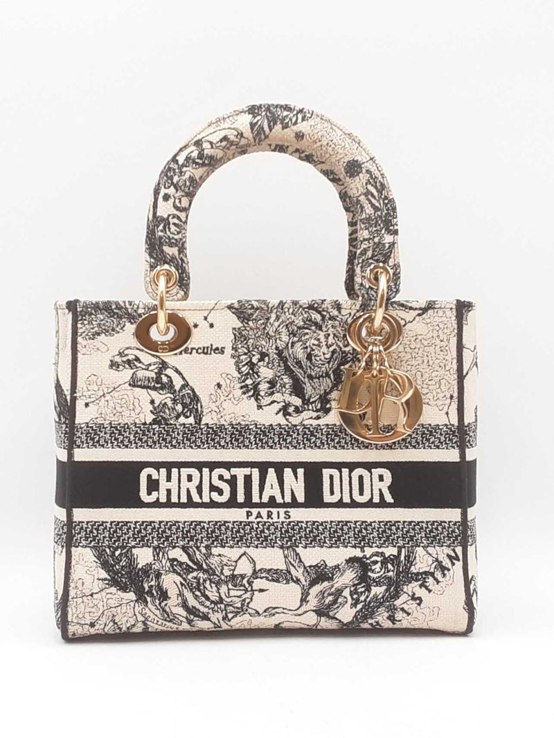 Christian Dior Lady Dior D-lite In Toile De Jouy Embroidered Canvas Fw0725lexzdu