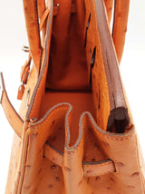 Hermes Birkin 35 Tangerine Orange Ostrich Palladium Handbag Do0126lirxzde