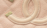 Chanel Pink Leather Vanity Wallet On Chain Eb0424llxzsa