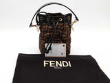 Fendi Mon Tresor Bucket Bag Brown Aa0526rzxsa