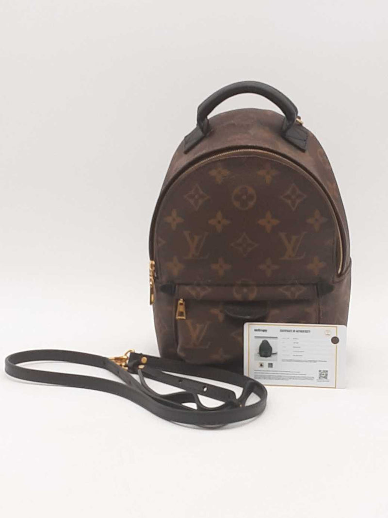 Louis Vuitton Palm Springs Monogram Canvas Mini Backpack Sd0725rzxsa