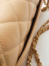 Chanel Quilted Caviar Leather Double Flap Shoulder Bag Eb0226woxzde
