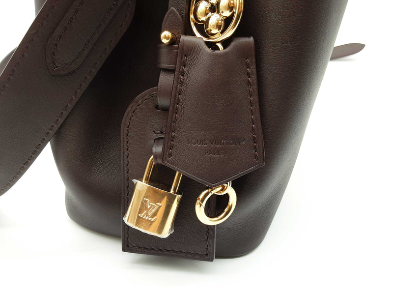 Louis Vuitton Capucines Mm Souple Chocolate Brown Calfskin Handbag Sd0725wzxzde