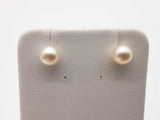 White Pearl 14k White Gold 0.6g Rubber Back Stud Earrings Do0925lrde