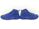 Air Jordan 12 Retro Deep Royal Suede & Leather Sneakers Size 12 Sd0926crdu