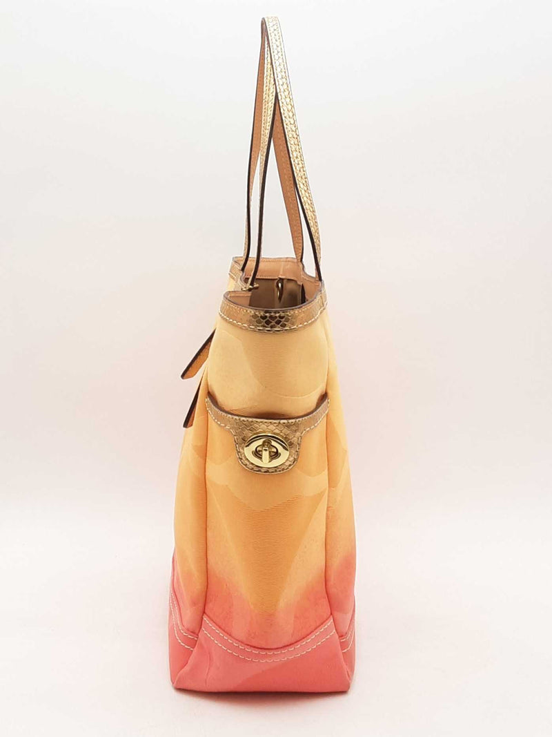 Coach Ombre Canvas Tote Bag Multi-color Aa0325wrsa