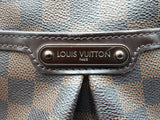 Louis Vuitton Bloomsbury Pm Shoulder Bag In Damier Ebene Coated Canvas Fw0626szxdu