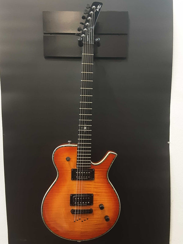 Parker Pm-20 Pro 2006-2009 Electric Guitar Flame Honey Burst Ebwxzsa