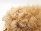 Bottega Veneta Chain Pouch In Beige Shearling Lambskin Fw0726irzdu