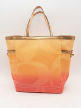 Coach Ombre Canvas Tote Bag Multi-color Aa0325wrsa