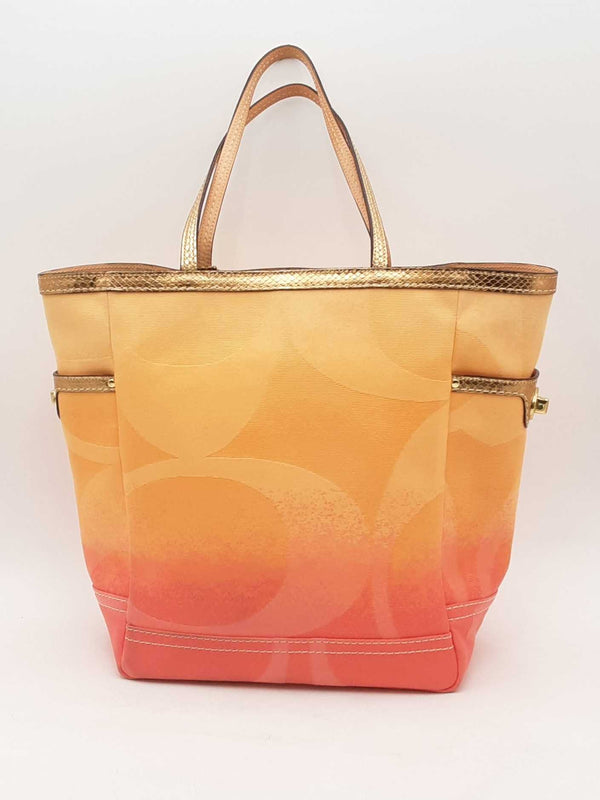 Coach Ombre Canvas Tote Bag Multi-color Aa0325wrsa