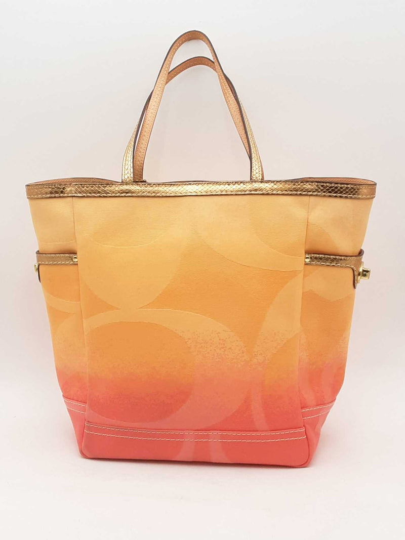 Coach Ombre Canvas Tote Bag Multi-color Aa0325wrsa