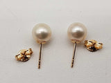 White Pearls 14k Yellow Gold 1.7g Stud Earrings Do0526llrde