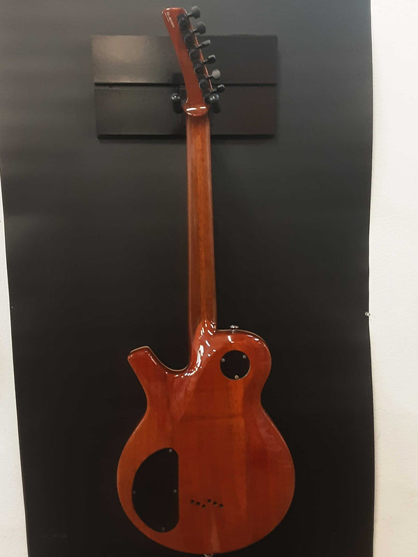 Parker Pm-20 Pro 2006-2009 Electric Guitar Flame Honey Burst Ebwxzsa