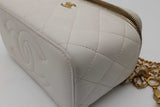 Chanel Quilted Lambskin Vanity Case Eb1026olxzsa