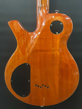 Parker Pm-20 Pro 2006-2009 Electric Guitar Flame Honey Burst Ebwxzsa