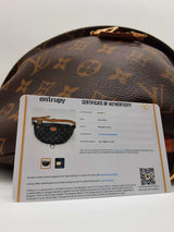 Louis Vuitton Monogram Canvas Bumbag Sd0726lczxde