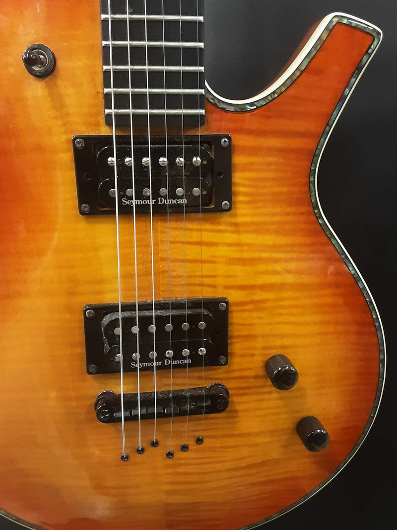 Parker Pm-20 Pro 2006-2009 Electric Guitar Flame Honey Burst Ebwxzsa