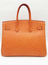 Hermes Birkin 35 Tangerine Orange Ostrich Palladium Handbag Do0126lirxzde