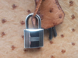 Hermes Birkin 30 Gold Ostrich Hand Bag Sd0825lcrzxsa
