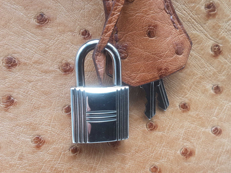 Hermes Birkin 30 Gold Ostrich Hand Bag Sd0825lcrzxsa