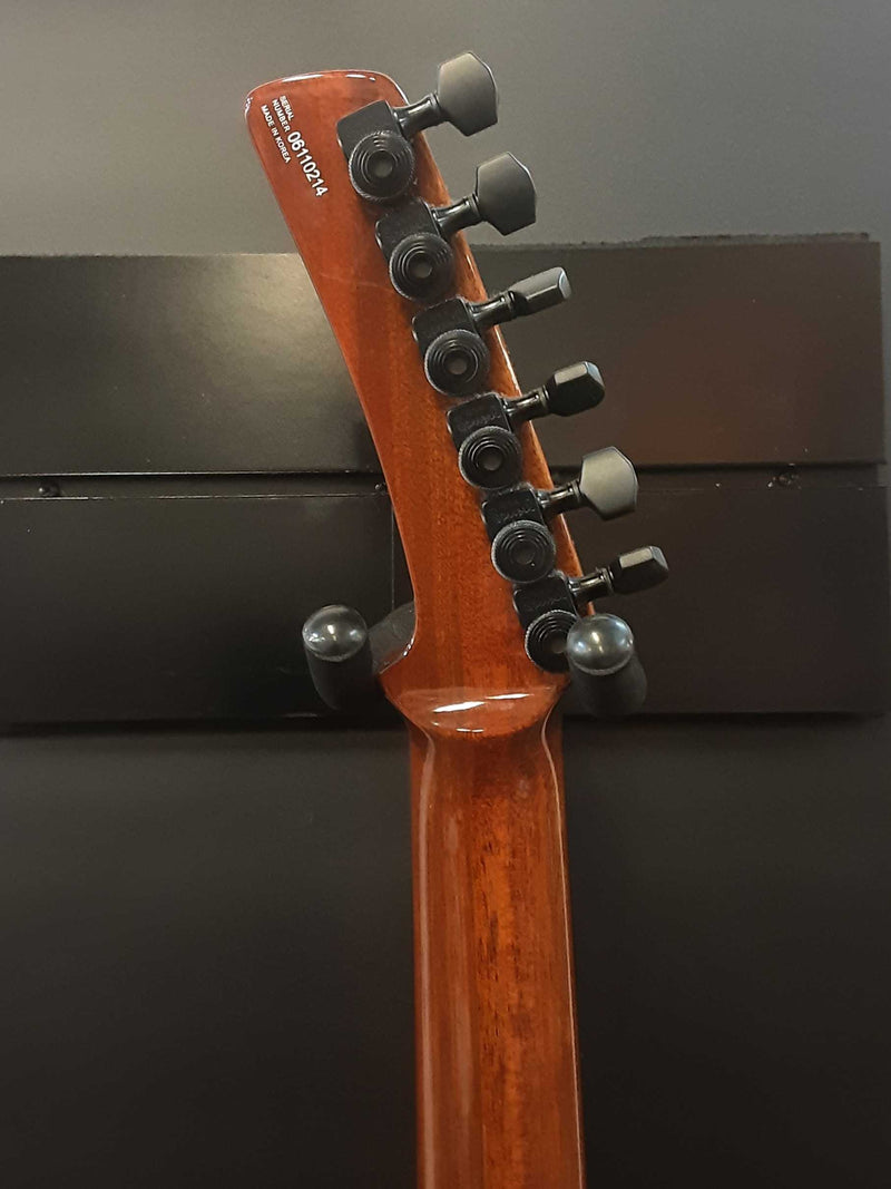Parker Pm-20 Pro 2006-2009 Electric Guitar Flame Honey Burst Ebwxzsa