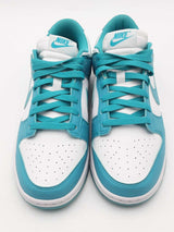 Nike Dunk Low Next Nature Dusty Cactus Sneakers Size 8.5 Dd1873-105 Eb0925pxsa