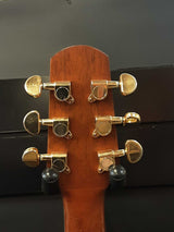 Walden Natura G630ce Acoustic/ Electric Guitar Eb0425orxsa