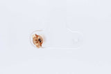 0.37ctw Diamond Single Stud Earring In 10k Yellow Gold 0.6 Grams Eb0426lerdu