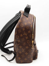 Louis Vuitton Palm Springs Monogram Backpack Eb0426exzsa