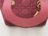 Christian Dior Lady Canage Hombre Pink Small Handbag Aa0325oizxsa
