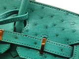 Hermes Birkin 25cm Vert Verone Green Ostrich Leather Gold Handbag Do0626ooxzxde