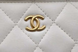 Chanel Quilted Lambskin Vanity Case Eb1026olxzsa