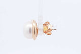 Pearl Stud Earrings In 14k Yellow Gold 4.3 Grams Eb0924ersa