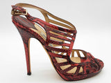 Jimmy Choo Red Python Printed Snakeskin Leather Heels Size Eu 40 Do0826lxzde