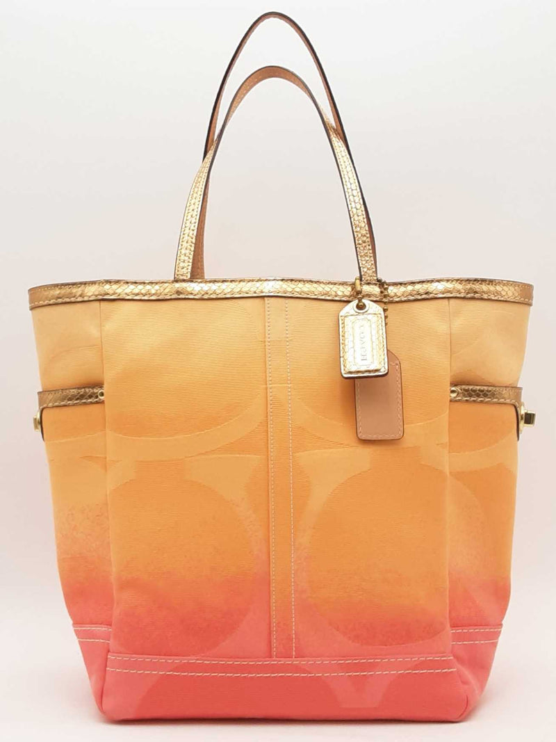 Coach Ombre Canvas Tote Bag Multi-color Aa0325wrsa