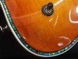 Parker Pm-20 Pro 2006-2009 Electric Guitar Flame Honey Burst Ebwxzsa