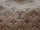 Louis Vuitton Antheia Ixia Pm Bag In Brown Monogram Python Leather Fw0626ozxzdu