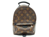 Louis Vuitton Palm Springs Mini Backpack Sd0926ezxdu