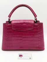 Louis Vuitton Cappucine Fuchsia Crocodile Leather Top Handle Bag Eb0626rxxzde