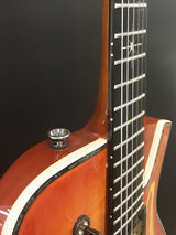 Parker Pm-20 Pro 2006-2009 Electric Guitar Flame Honey Burst Ebwxzsa