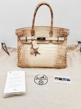Hermes Birkin 30 Himalayan Beige Niloticus Croc Palladium Handbag Do1025crxzxde