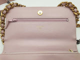 Chanel 19 Pink Quilted Leather Wallet On Chain Crossbody Bag Do0526opcxde