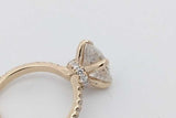 2.46cttw Diamond Ring In 14k Yellow Gold 3 Grams Size 2.5 Eb1026oxxzsa