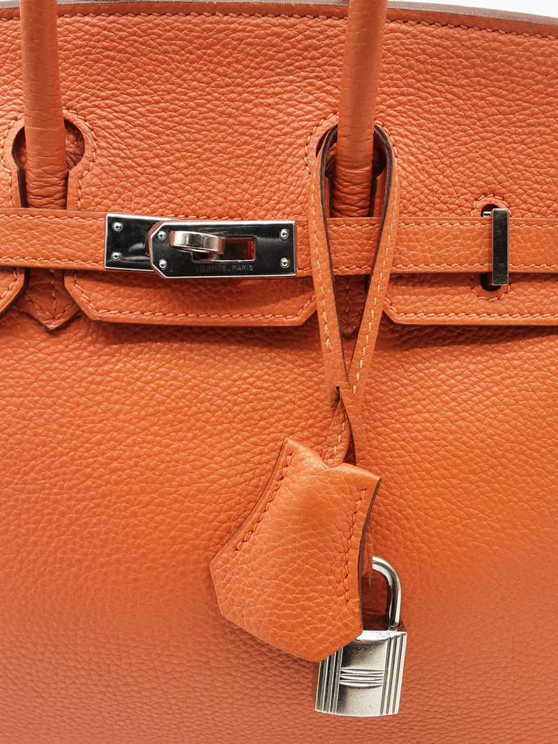 Hermes Birkin 25 Potiron Orange Togo Palladium Hardware Handbag Do1023lerxzde