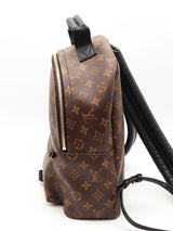 Louis Vuitton Palm Springs Monogram Backpack Eb0426exzsa