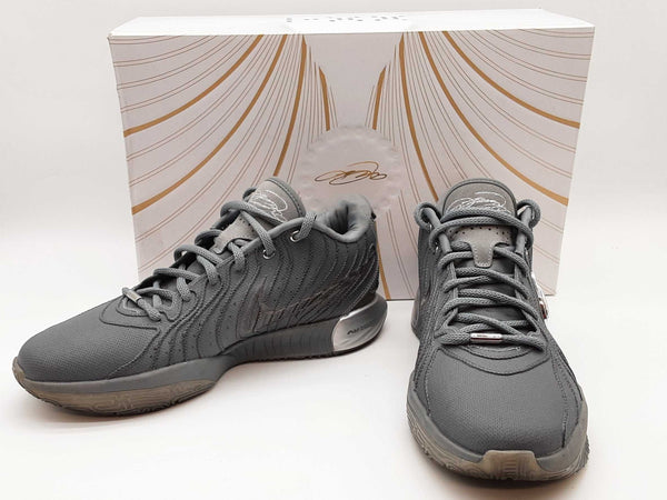 Nike Hf5353-001 Lebron 21 Xxi Resilient Silver Shoes Size Us 11 M Do0425wrde